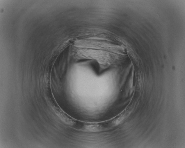 X0000084600461200703091933