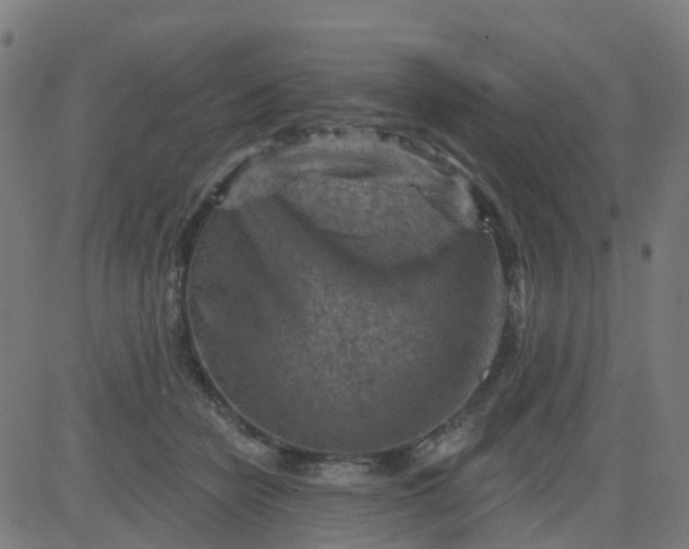 X0000084600462200703091933