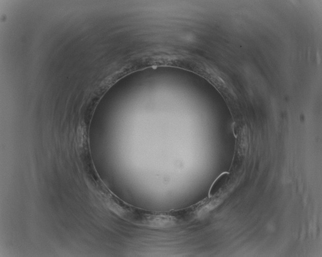 X0000084600463200703091933