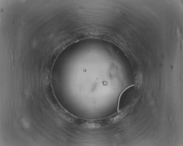 X0000084600464200703091933