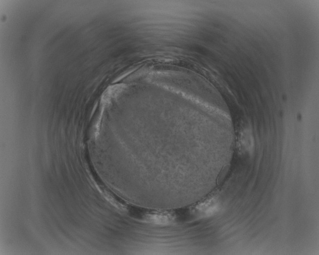 X0000084600466200703091933