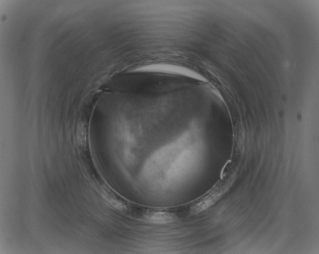 X0000084600467200703091933