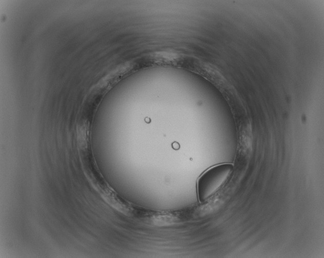 X0000084600468200703091933