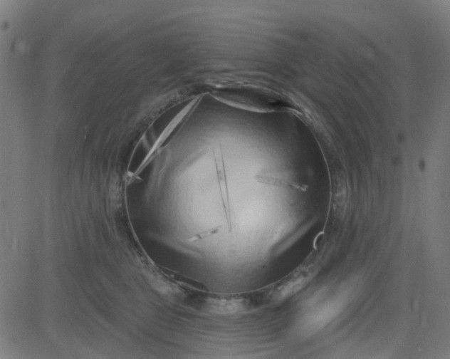 X0000084600469200703091933