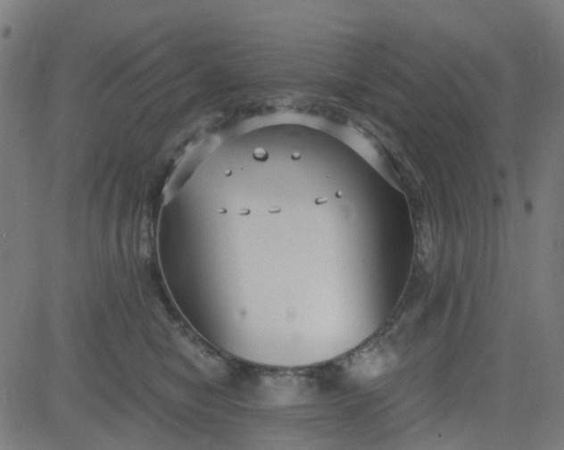 X0000084600470200703091933