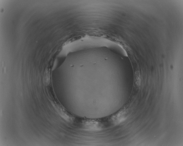 X0000084600471200703091933