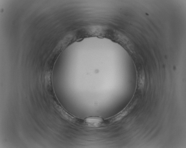 X0000084600473200703091933