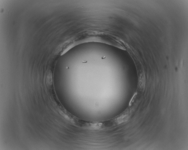 X0000084600474200703091933