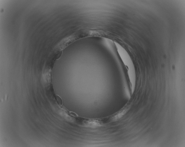 X0000084600475200703091933