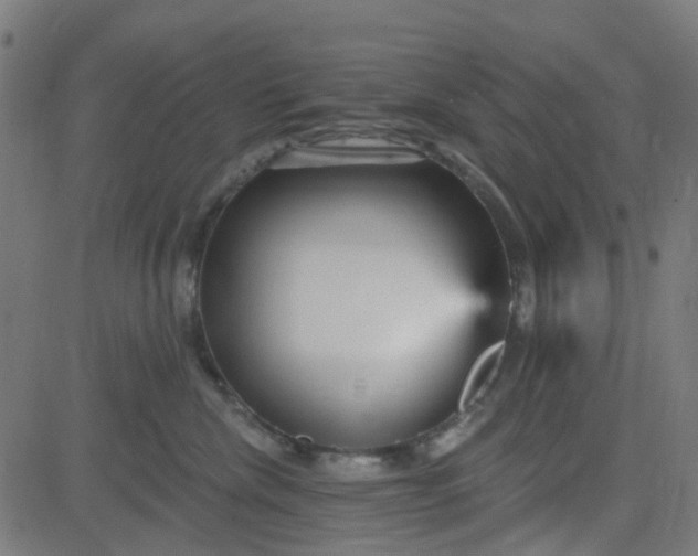 X0000084600476200703091933