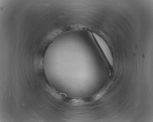 X0000084600477200703091933