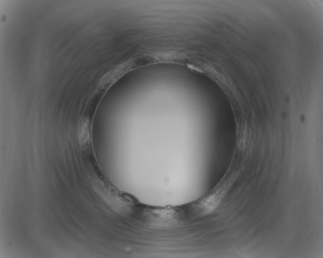 X0000084600478200703091933