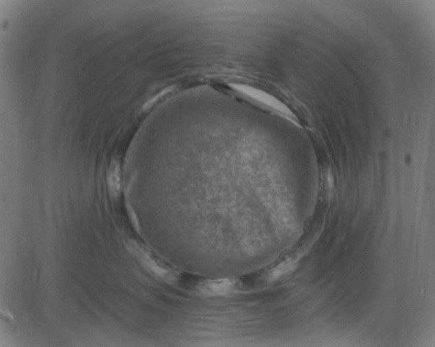 X0000084600479200703091933