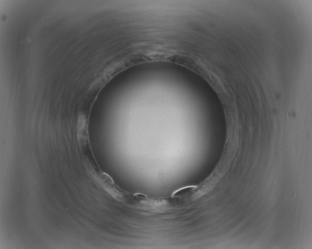 X0000084600480200703091933