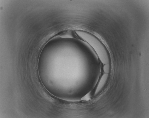 X0000084600481200703091933