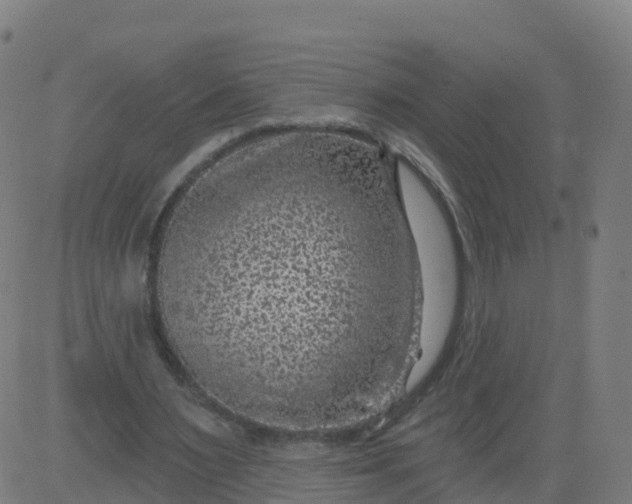 X0000084600483200703091933