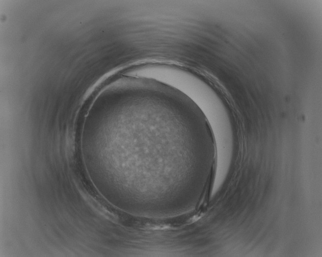 X0000084600484200703091933