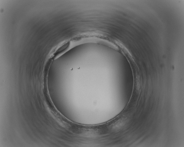 X0000084600486200703091933