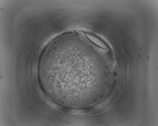 X0000084600487200703091933