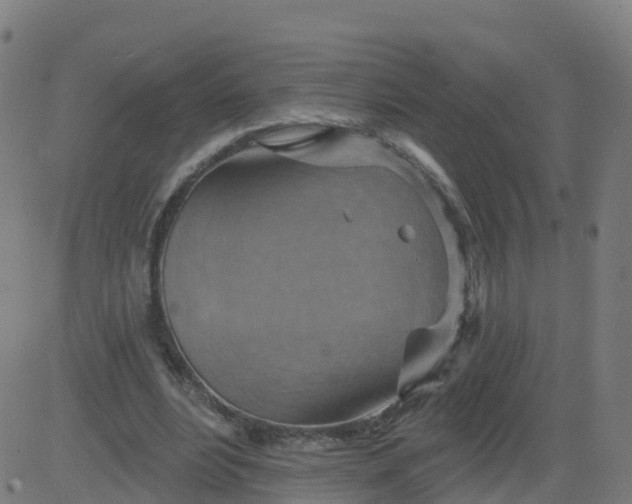 X0000084600488200703091932