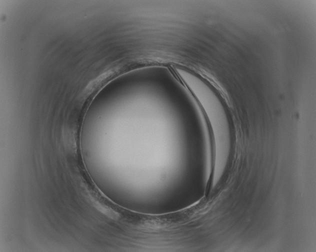 X0000084600489200703091932