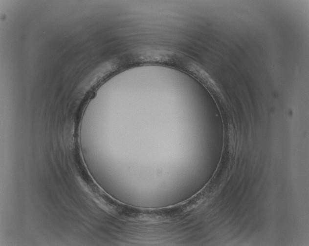 X0000084600490200703091932