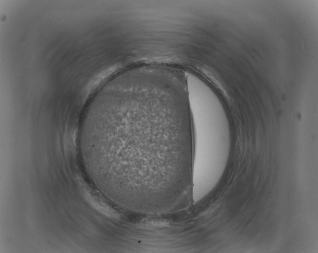 X0000084600491200703091932