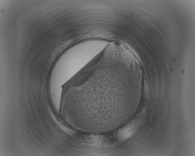 X0000084600493200703091932