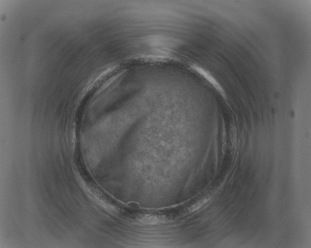 X0000084600494200703091932