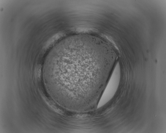 X0000084600495200703091932