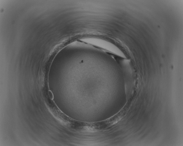 X0000084600496200703091932