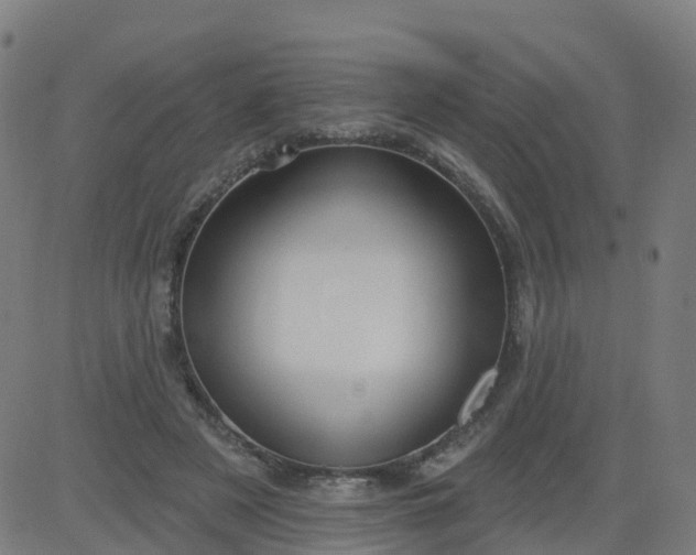 X0000084600497200703091932