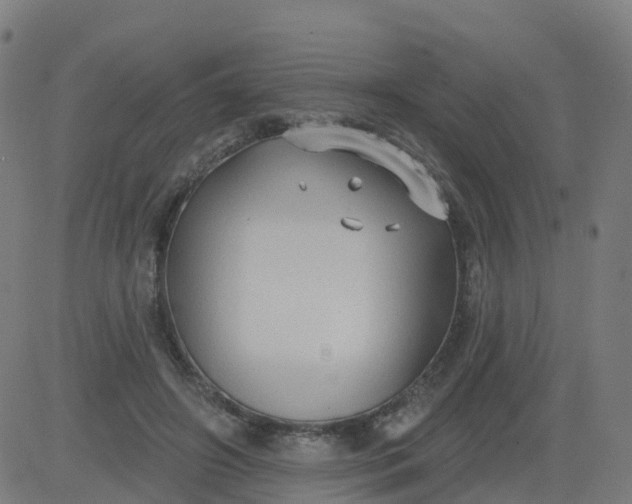 X0000084600498200703091932