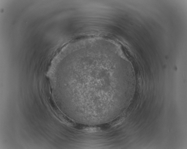 X0000084600499200703091932