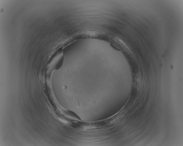 X0000084600500200703091932