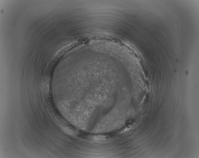 X0000084600501200703091932