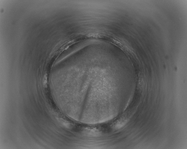 X0000084600502200703091932