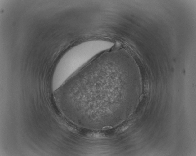 X0000084600503200703091932