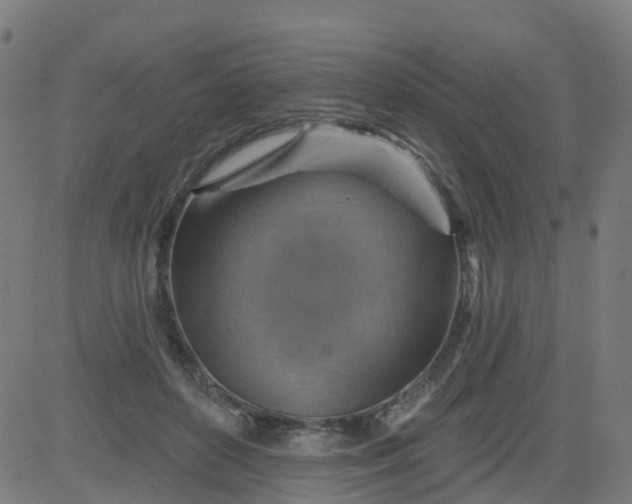 X0000084600504200703091932