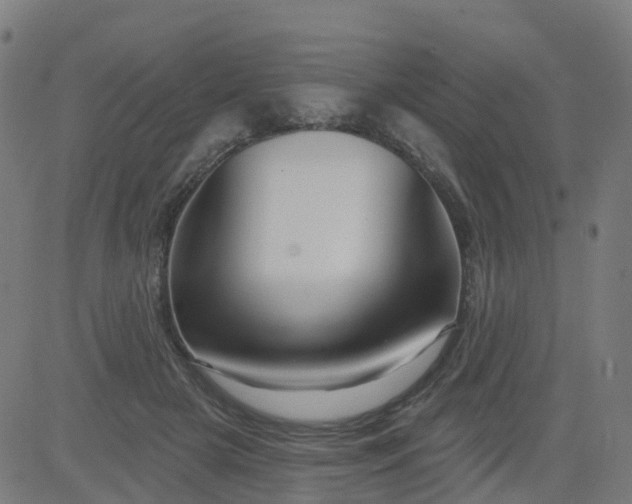 X0000084600505200703091932