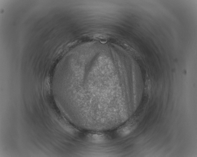 X0000084600506200703091932