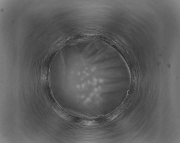 X0000084600507200703091932