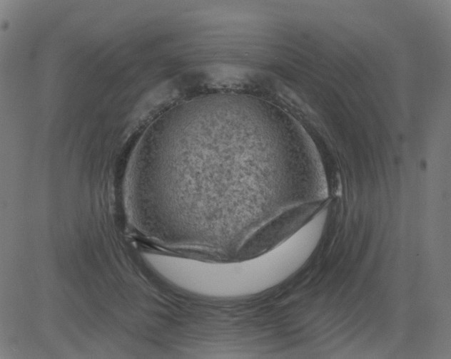 X0000084600508200703091932