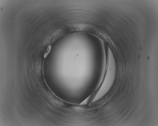 X0000084600509200703091932