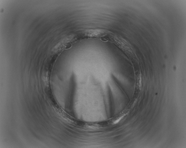 X0000084600510200703091932