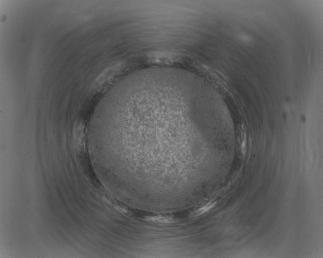 X0000084600511200703091932