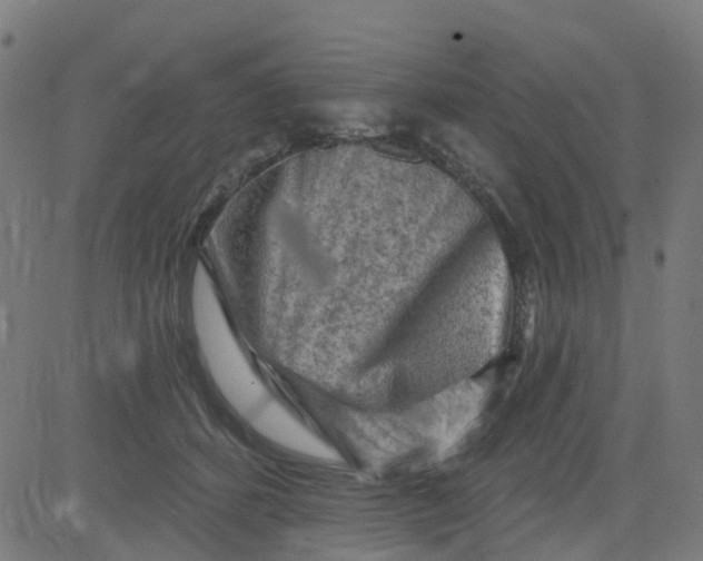 X0000084600512200703091932