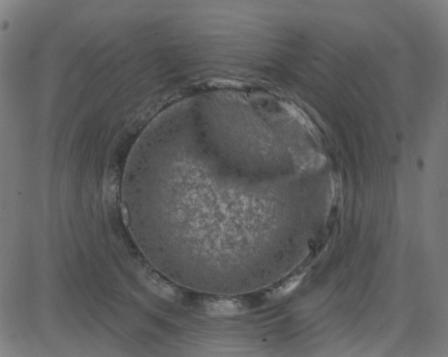 X0000084600513200703091932