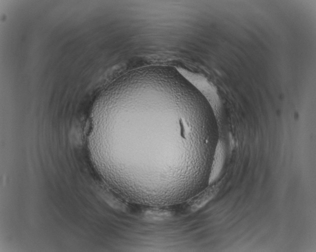 X0000084600515200703091932