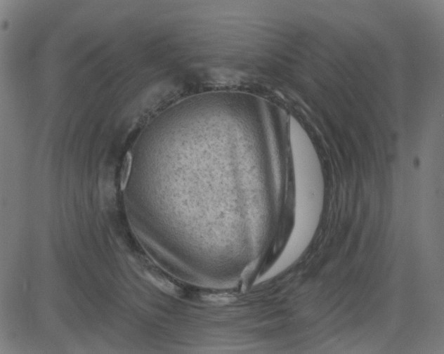 X0000084600516200703091932